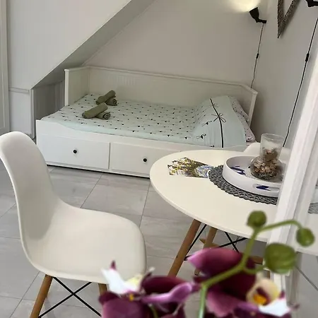 Studio Dalmatia