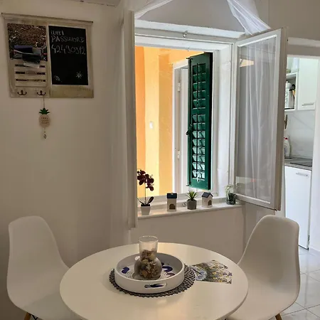 Studio Dalmatia *